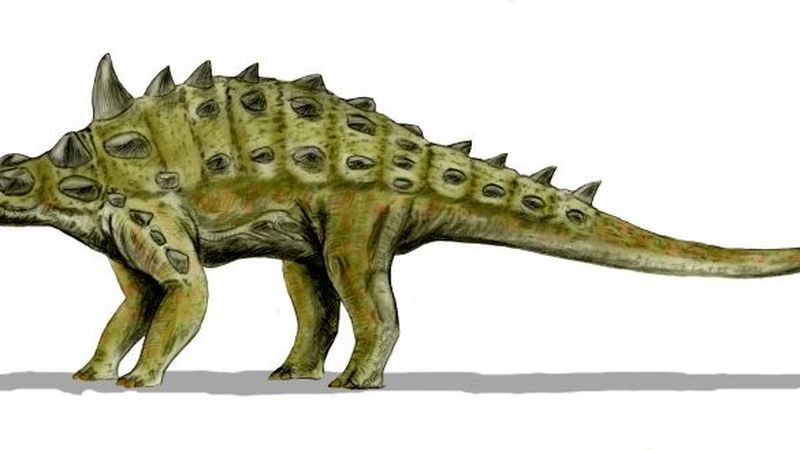 Dinosaur Sauropod, Ankylosaurus, Pterodactyl, Eggs, Tirannosaurus,  Stegosaurus, Fern Stock Illustration - Illustration of beast, background:  165002183