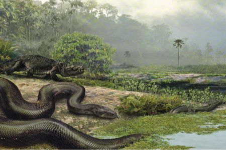 Titanoboa, pictured with a dyrosaur and a turtle, ruled the swampy South American tropics 58 million years ago.