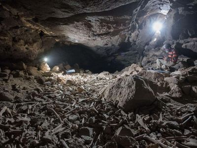 Researchers uncovered the remains in the Umm Jirsan lava tube in Saudi Arabia.