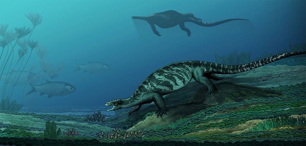 Newly Discovered Turtle Ancestors Chomped With Beaks But Bore No Shells