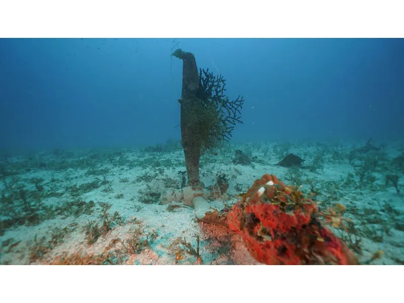 Coral-covered SBD-5 Dauntless