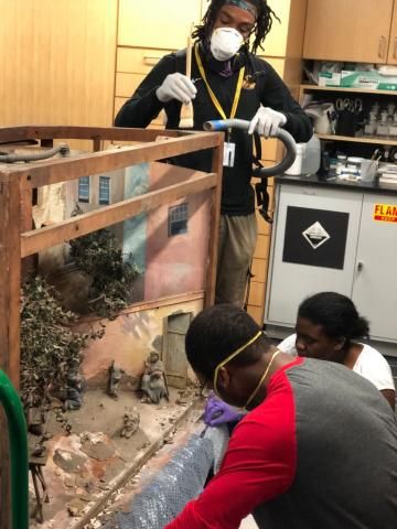 Matthew Fields and TIPC students treating and conserving the diorama