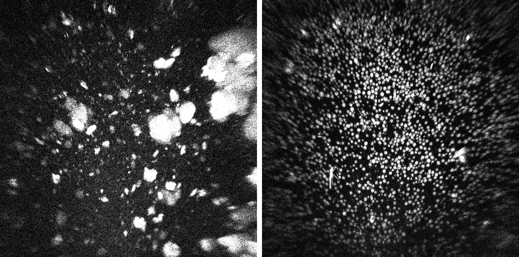 UV imaging from Merck