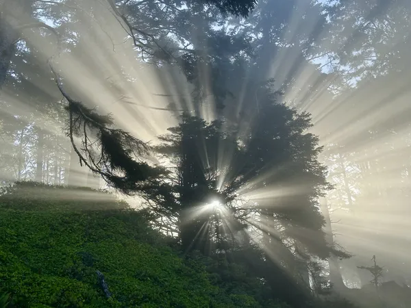 near Kalaloch Beach thumbnail