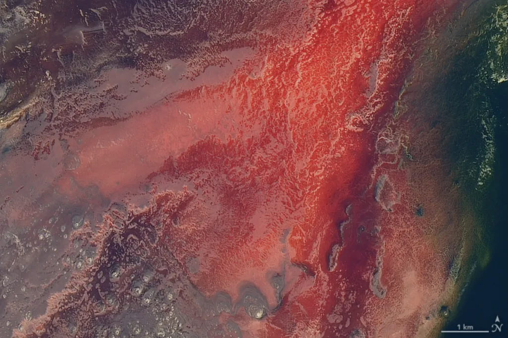 A detailed closer look at the lake's red water from a NASA satellite image