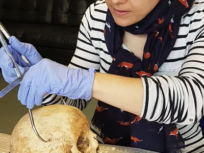 Researcher Sarah Inskip examines the skull of Context 958.