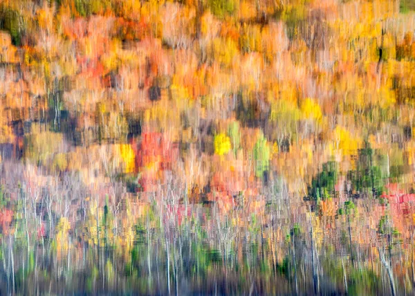 Fall Foliages Reflection thumbnail