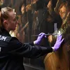 The Public Is Watching as Conservators Carefully Restore a Rembrandt Masterpiece to Its Former Glory icon