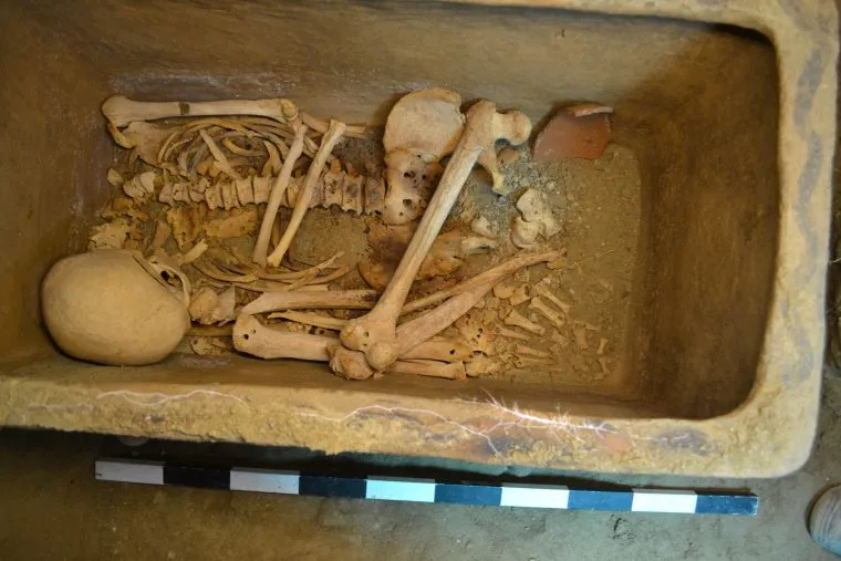 Greek Farmer Stumbles Onto 3,400-Year-Old Tomb Hidden Below His Olive Grove