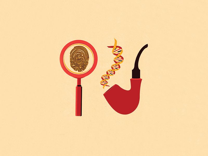 fingerprint illustration