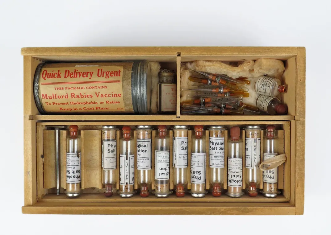 Rabies vaccine kit