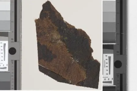 New fragments of the Dead Sea Scrolls with writing visible.