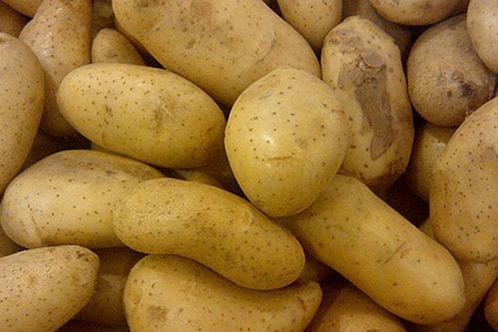 Food-Think-potatoes-sickness.jpg