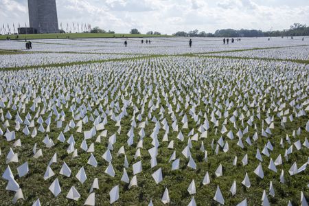 A public art installation commemorating Americans killed by Covid-19 on the National Mall featuring more than&nbsp;650,000 small plastic flags, some with personal messages to those they&rsquo;ve lost. 