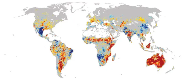 World Map