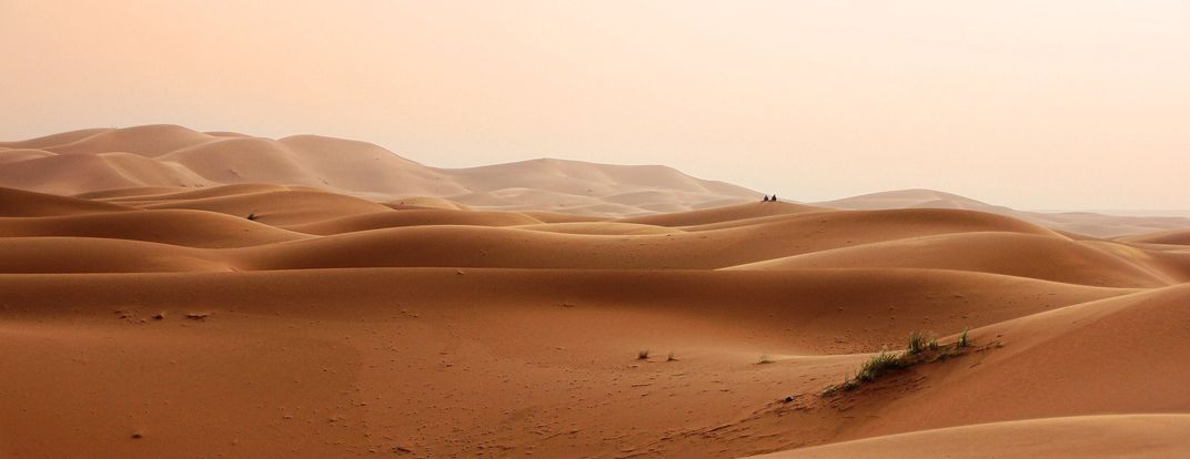 Open desert landscape