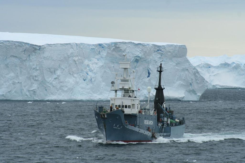 Research Whaling