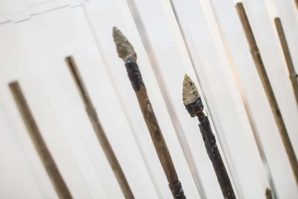 Otzi's arrows