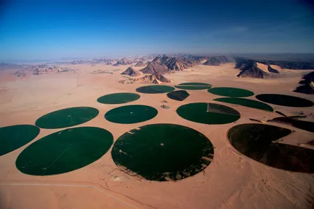 Crops certainly can be grown in the popular Hollywood stand-in for Mars, the valley Wadi Rum in southern Jordan.