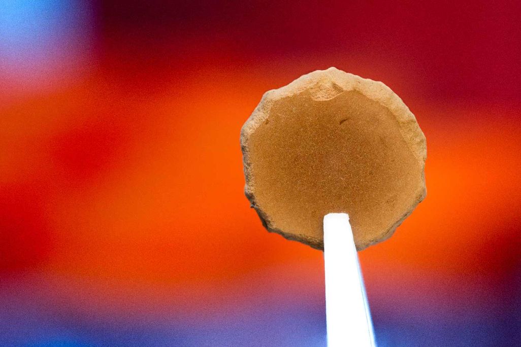 mars-brick-header.jpg