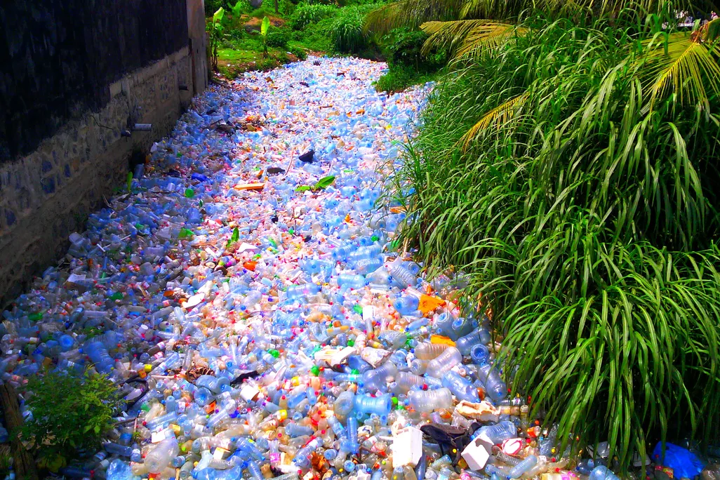 a stream filled with plastic