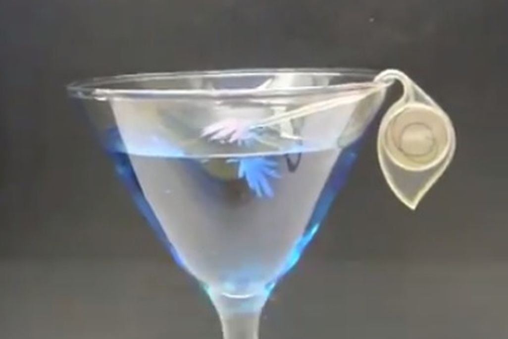 20131108105026cocktail.jpg