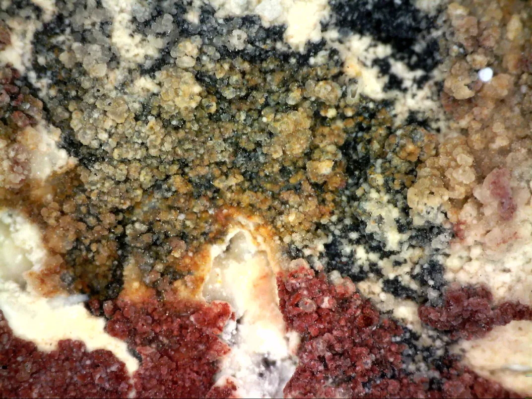 photomicrograph