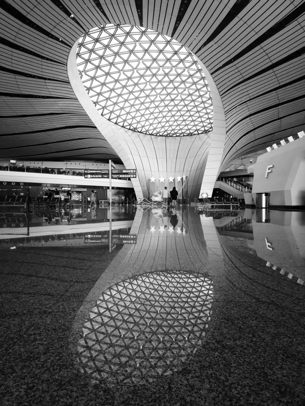 A Portal of Travelling Light thumbnail