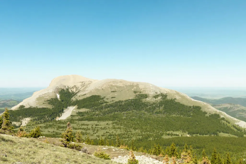 Pictured: Protected land near Crowsnest Pass, Alberta