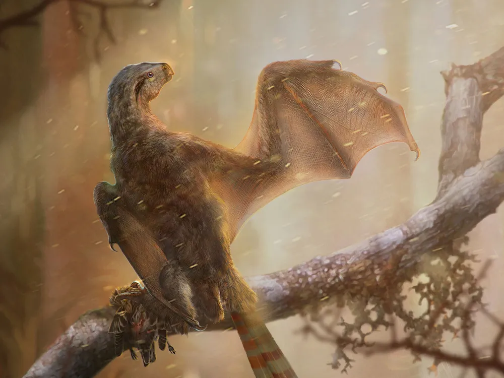 Newly Discovered Bat-Like Dinosaur Reveals the Intricacies of Prehistoric Flight