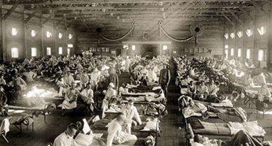 Flu pandemic