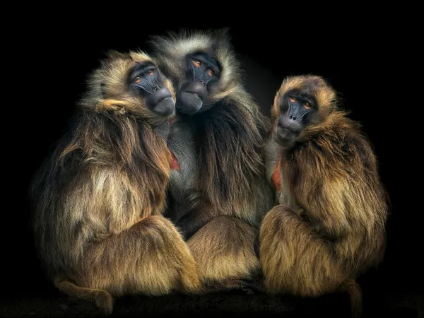 The Three Marys thumbnail