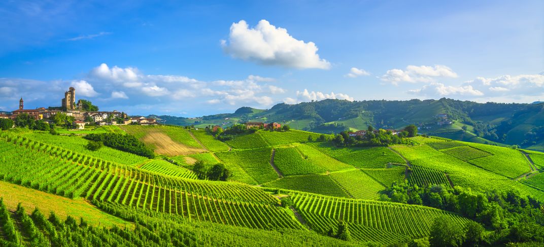 The World Heritage-listed vineyards of Langhe in Piedmont, Italy