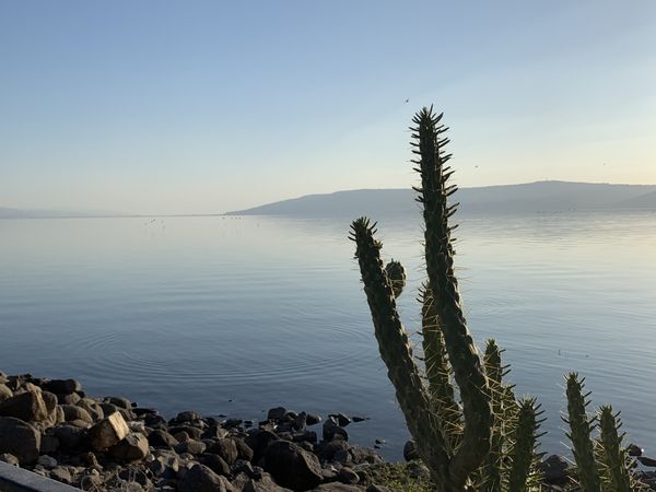 Sea of Galilee from the banks of Capernaum thumbnail