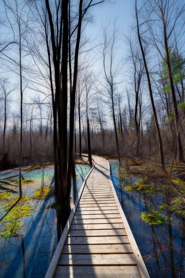 Path of Reflections thumbnail