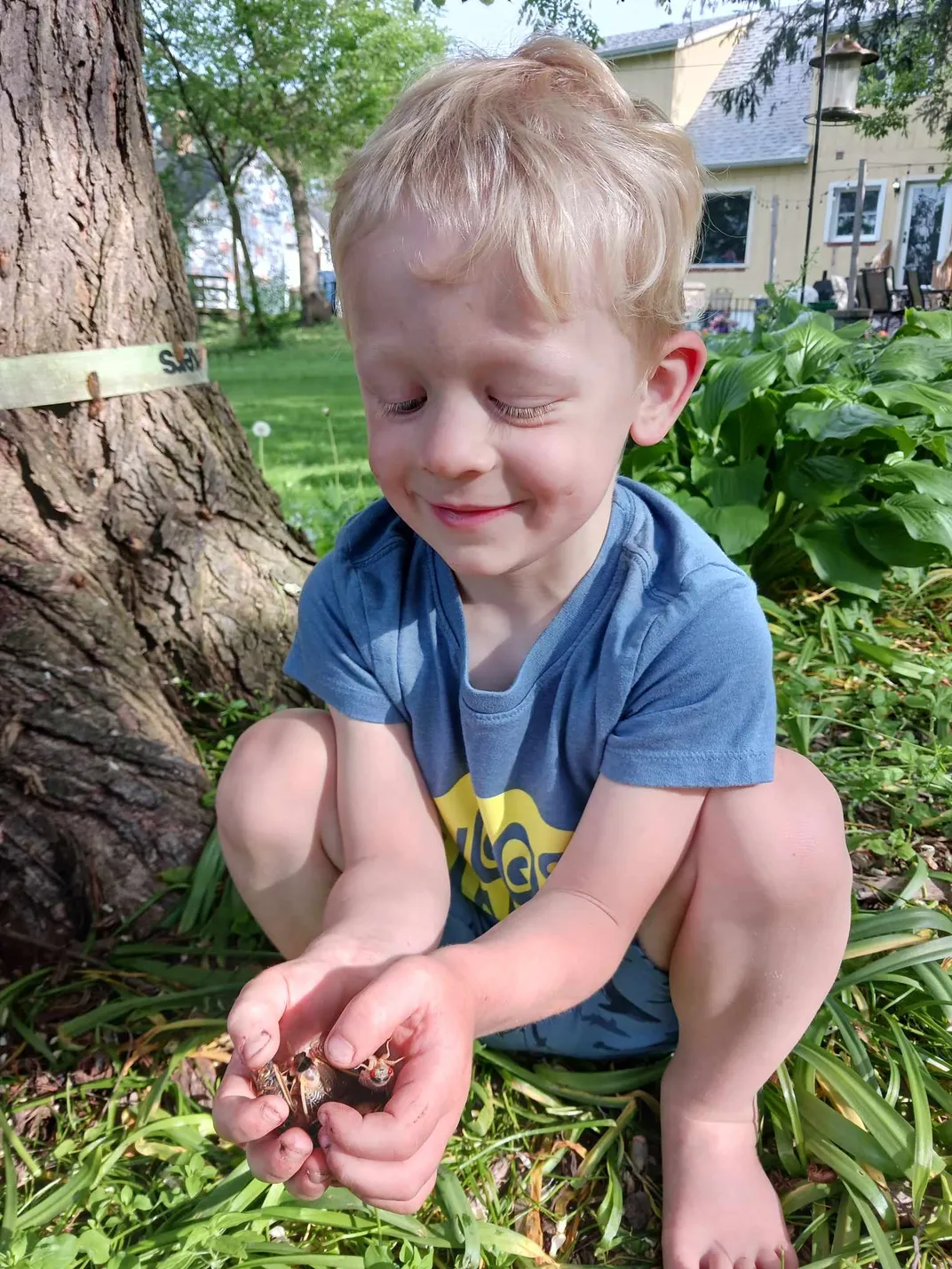 A crouching boy smiles while holding cicadas