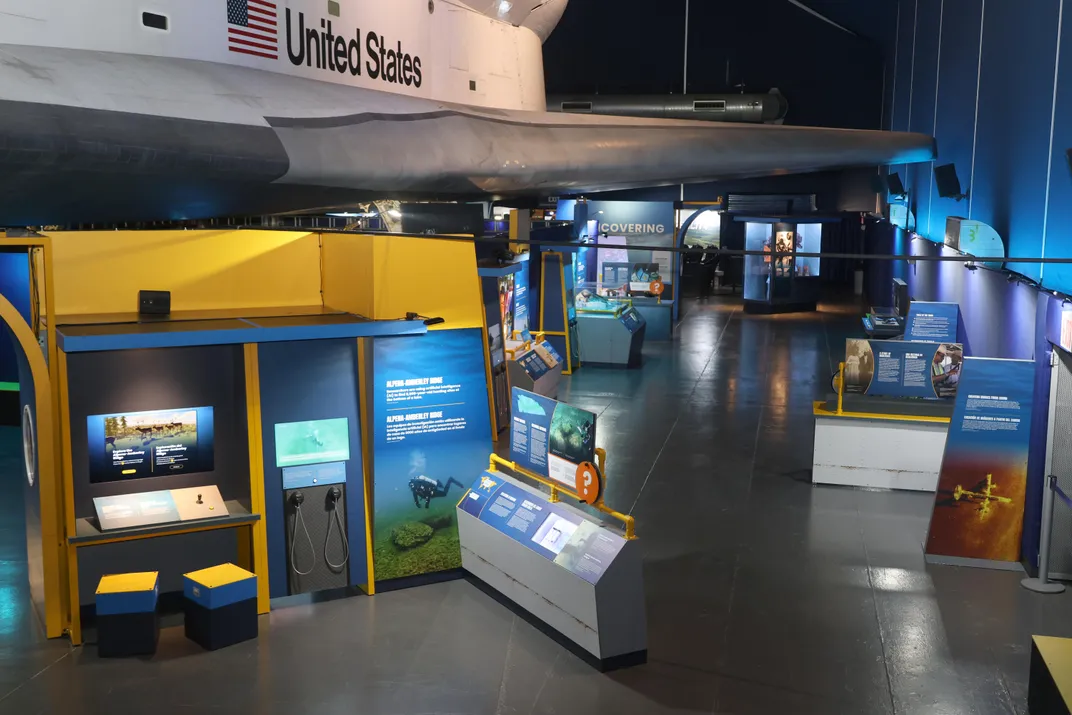 Wide shot of the exhibition "Mysteries From the Deep"
