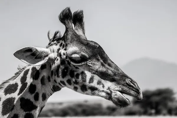 My charming features thumbnail