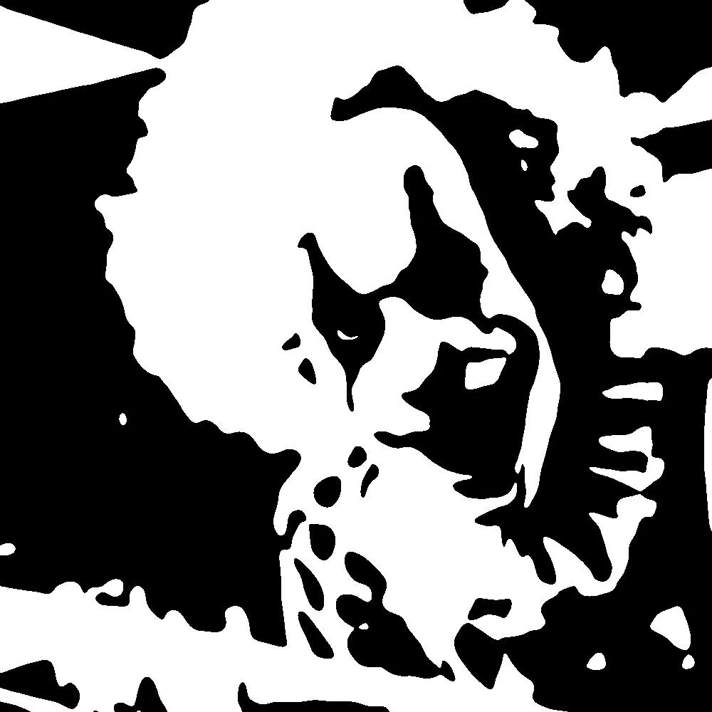 a Mooney image in high contrast