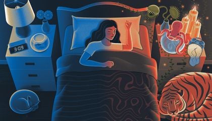 At the Mysterious Boundary Between Waking Life and Sleep, What Happens in the Brain?