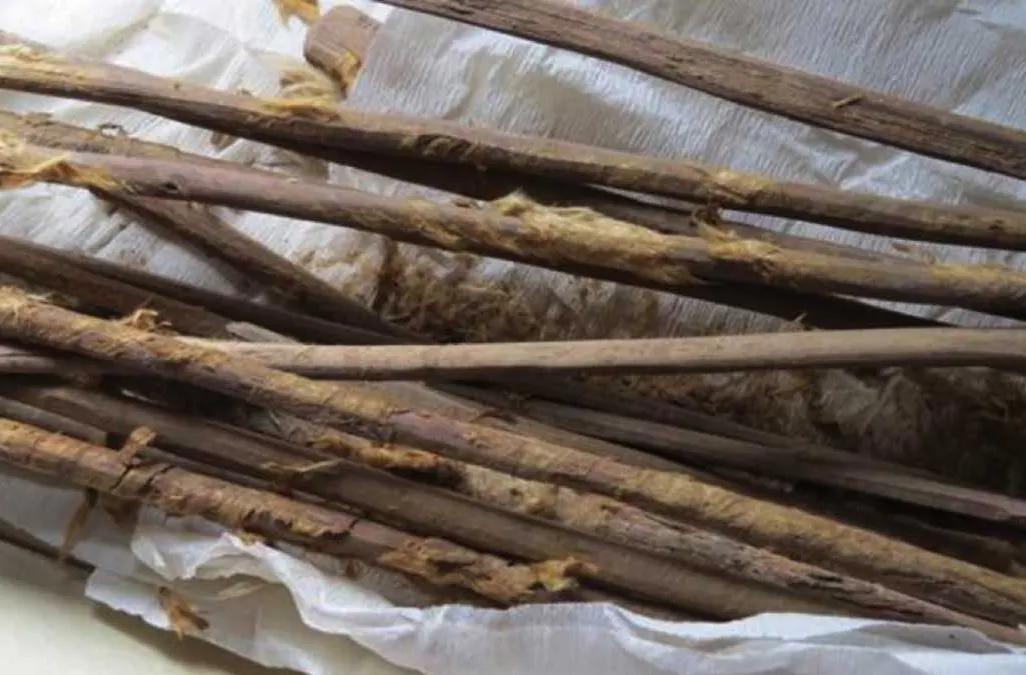 Poop Sticks 2
