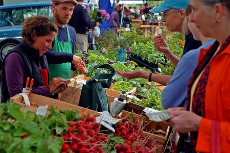 Customers shop at the Deering Oaks Farmers' Market in Portland, Maine.