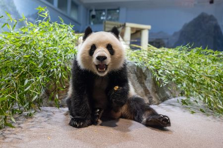 20241023-817A7167-02RP-qing-bao.jpg