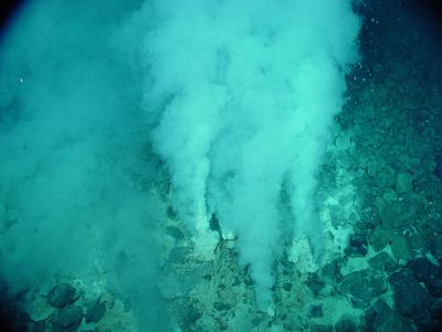“White smokers” at a deep ocean hydrothermal vent.