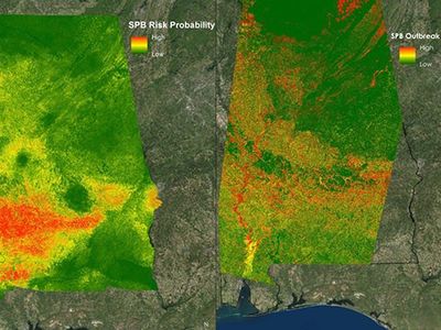 Images created by NASA with satellite data helped the U.S. Department of Agriculture analyze outbreak patterns for southern pine beetles in Alabama, in spring 2016.