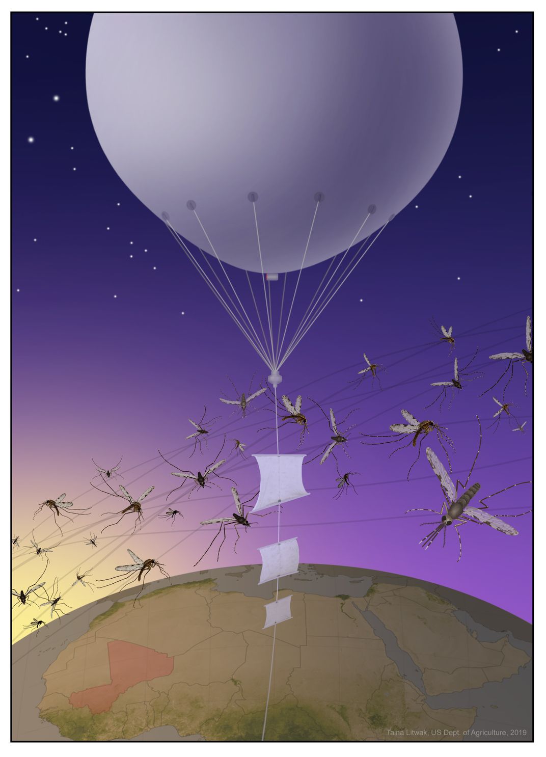 An illustration of a white balloon in the dark blue sky with mosquitoes flying around it. 