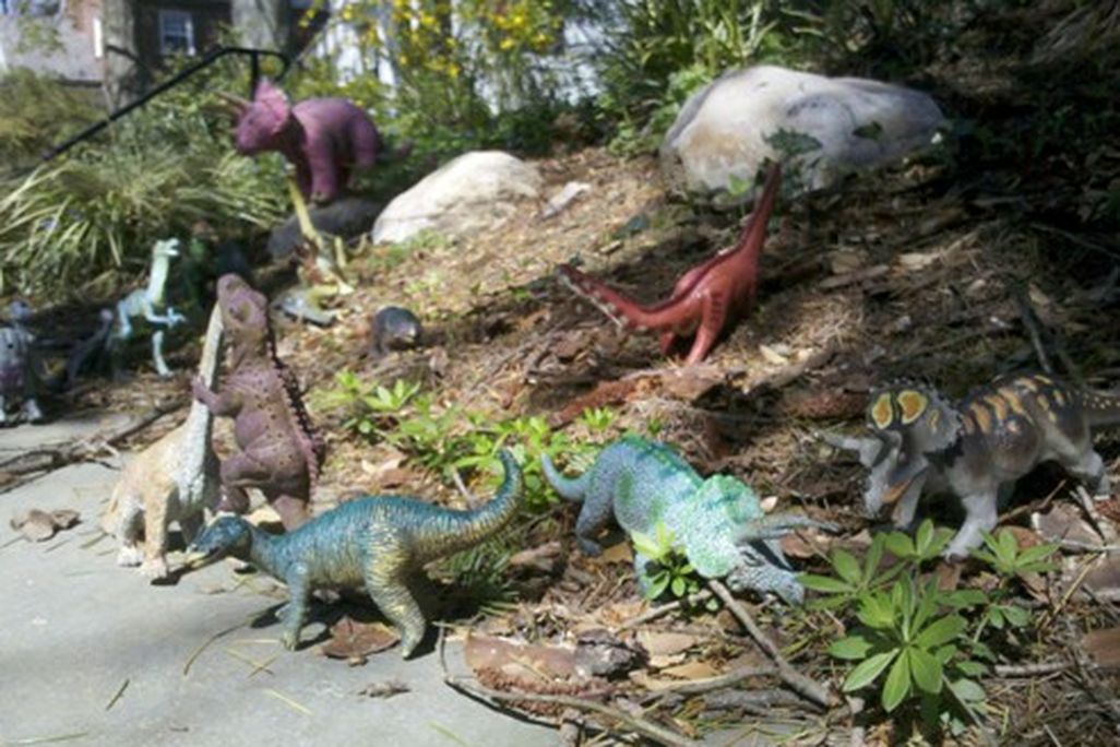 20110520083317dinosaur-battle.jpg