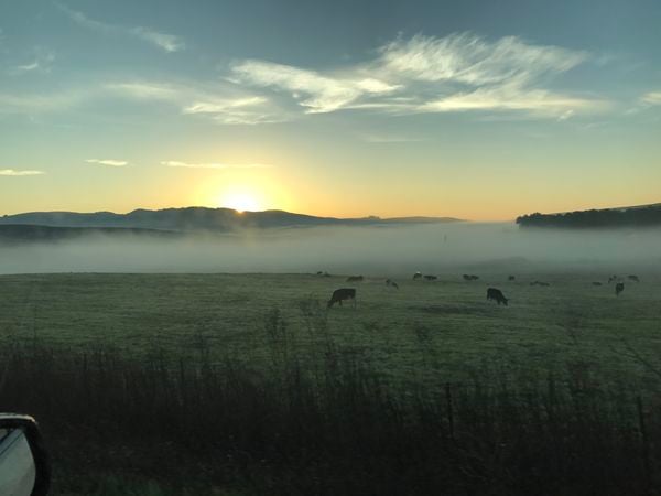 Sonoma farm sunrise thumbnail