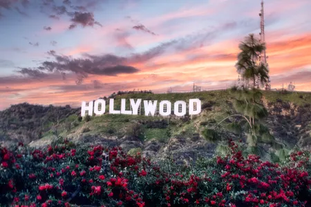 The Hollywood sign, an American landmark and cultural icon, overlooks the area and has inspired many to make their showbiz dreams a reality.

&nbsp;