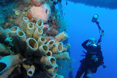 Decommissioned oil rigs attract both sea life and scuba divers. 